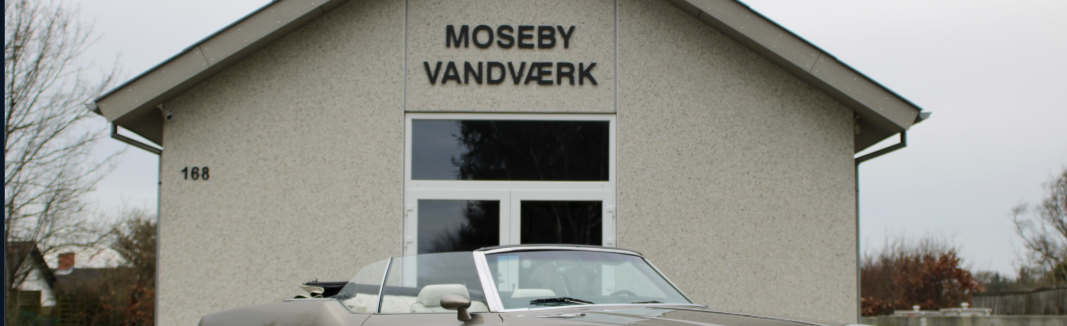 Torsdagtræf - Motorer i moseby